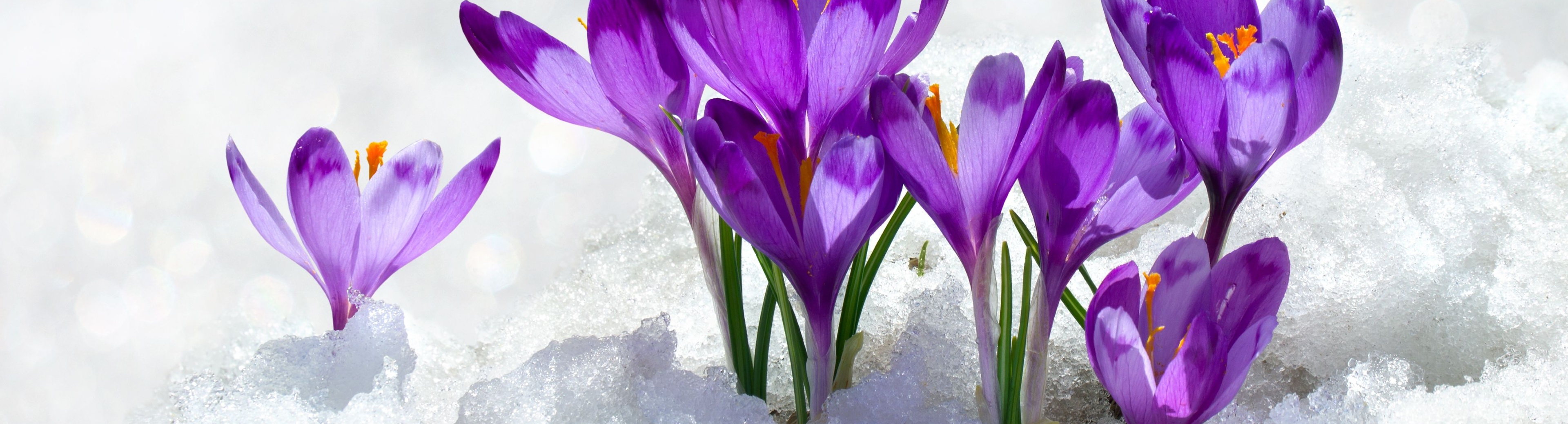 Cemre Nedir? Cemreler Ne Zaman Düşer?