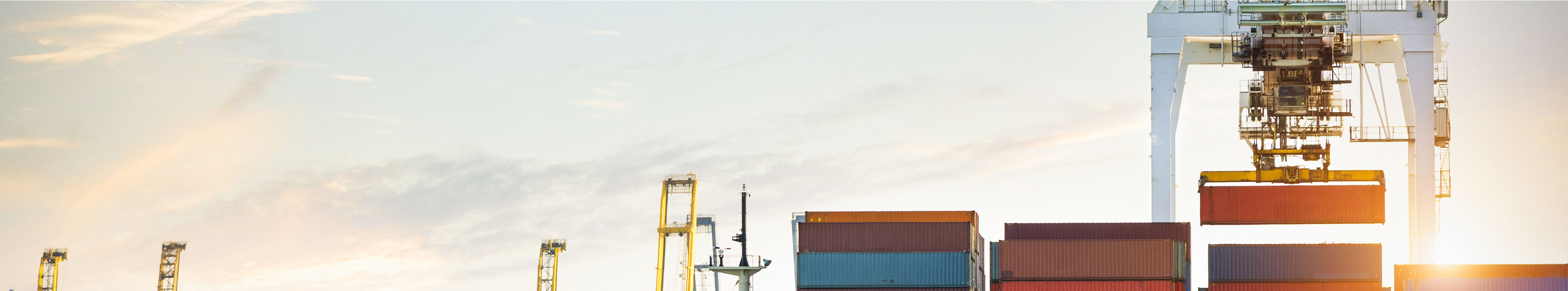 Dış Ticaret İşlem Türleri