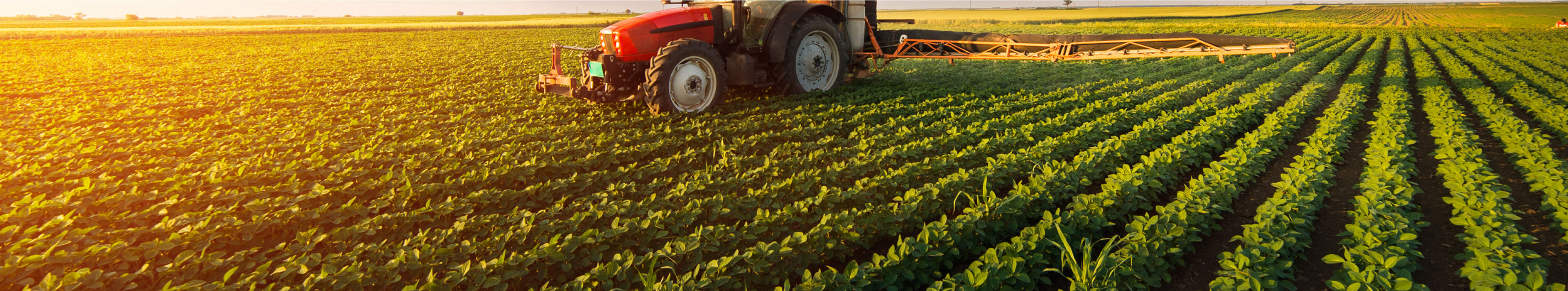 Tarımı Etkileyen Faktörler ve Çiftçiliğin Önemi