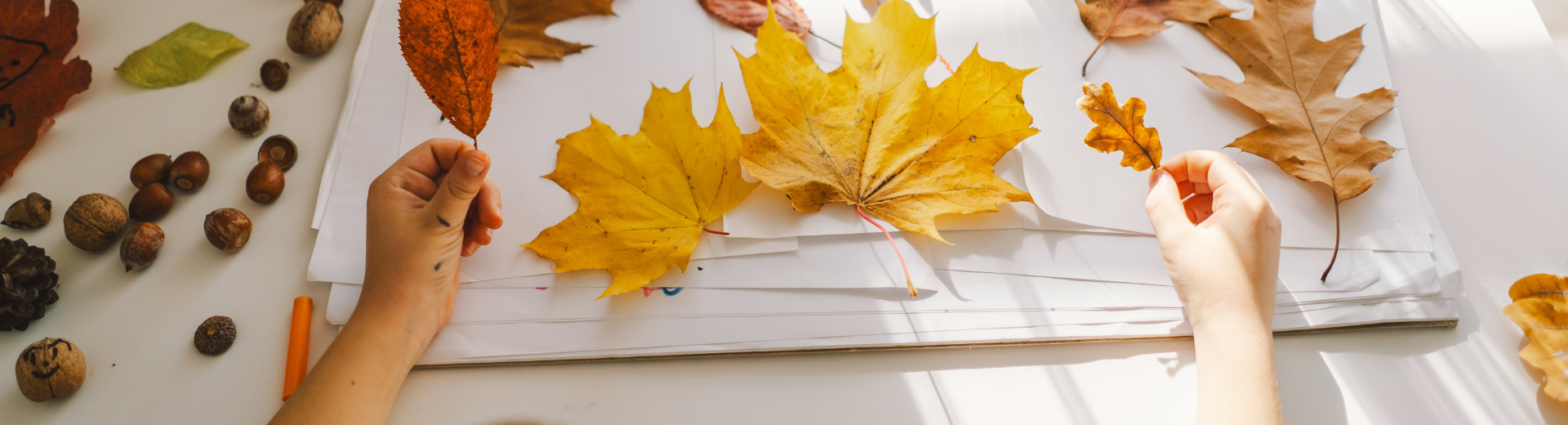 Sonbaharda Evde Keyifli Zaman Geçirmenin Yolları