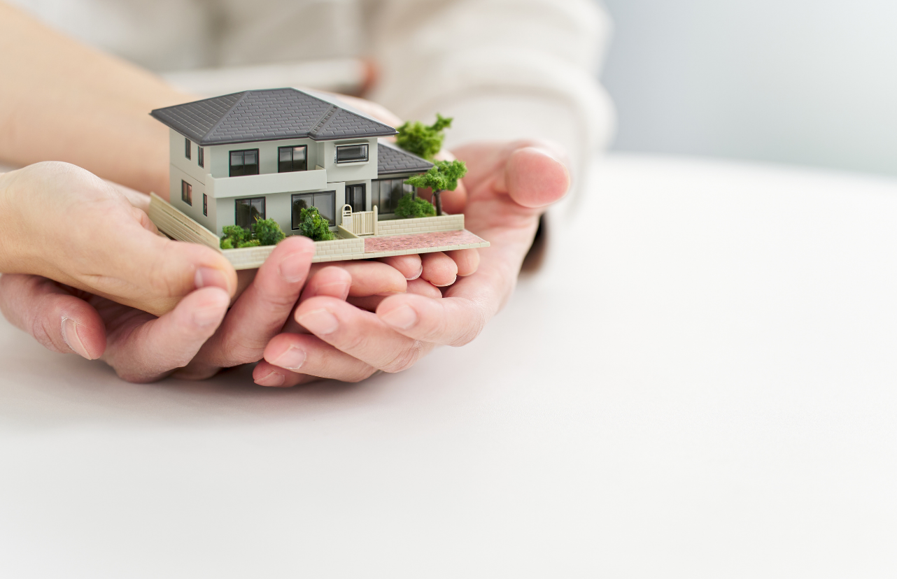 Ev Ekonomisi Ne Demektir?