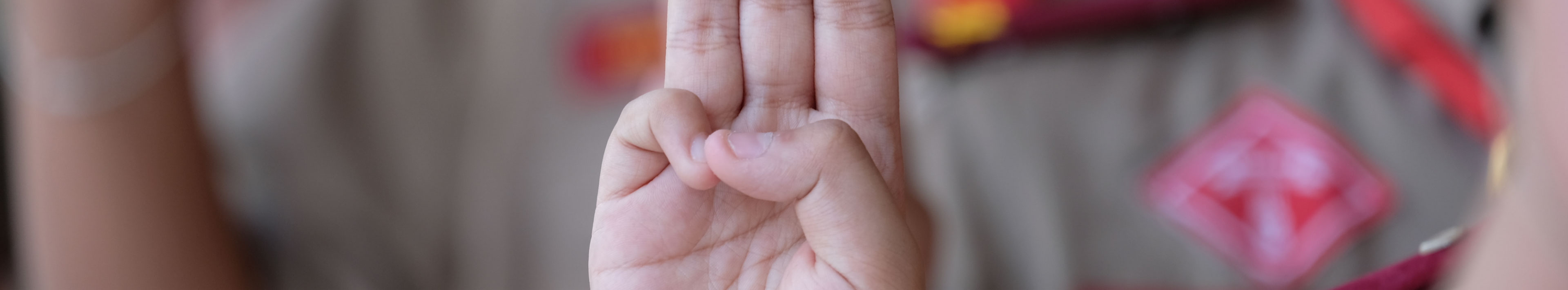 7'den 70'e Herkesin Yapabileceği İzcilik Nedir?