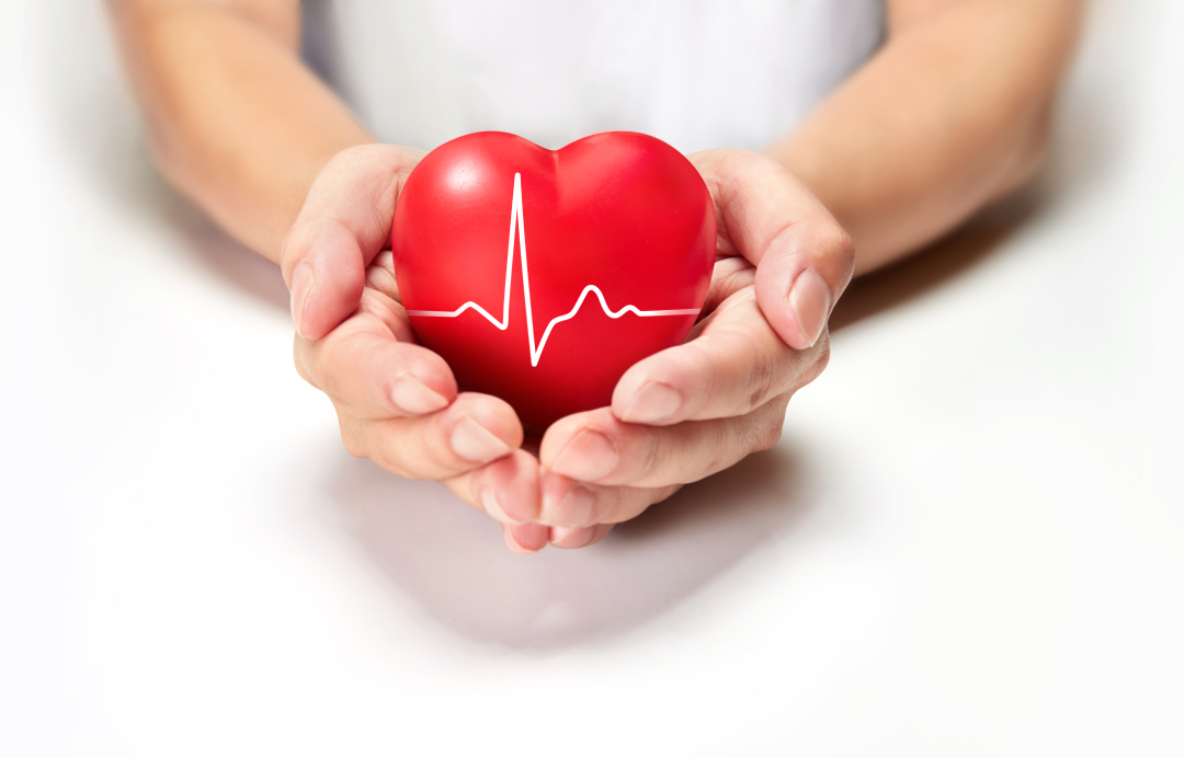 Individual Private Health Insurance