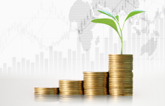 Participation Account