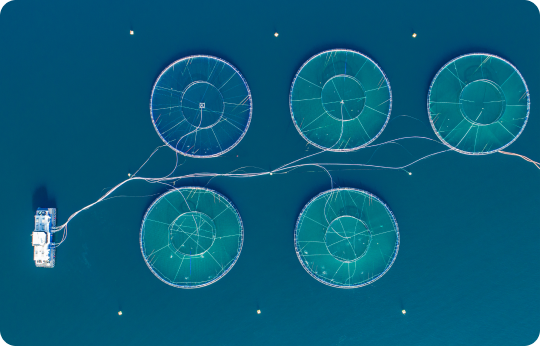 Aquaculture 