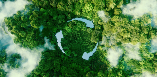 Forest view from the sky and sustainability logo