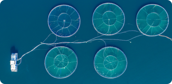 Aquaculture 