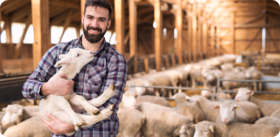 farmer holding lambs in barn